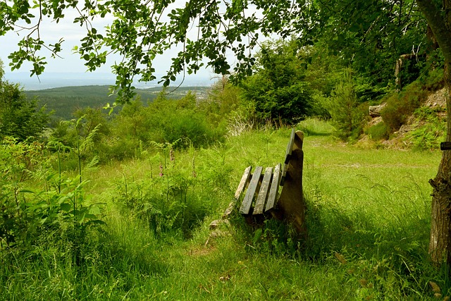 两队心态上 两队心态上