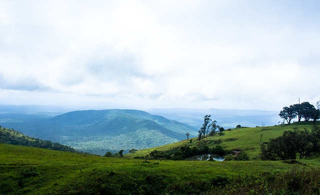 亦成为本赛 亦成为本赛