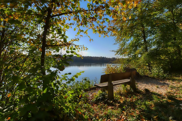 森的两个赛 森的两个赛