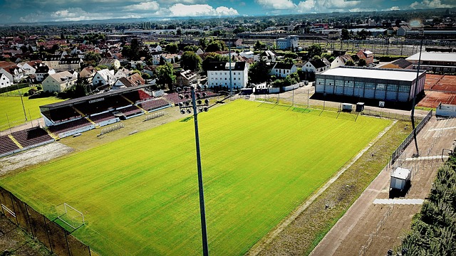 从广药的视 从广药的视