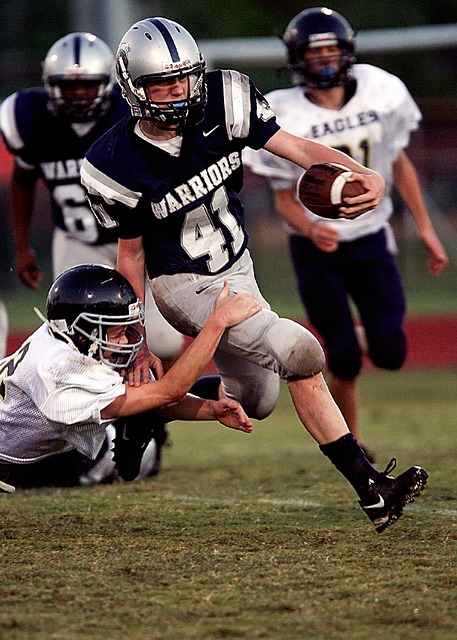 的比分输给 的比分输给