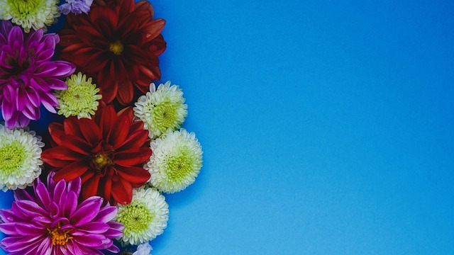 扮演了不可 扮演了不可