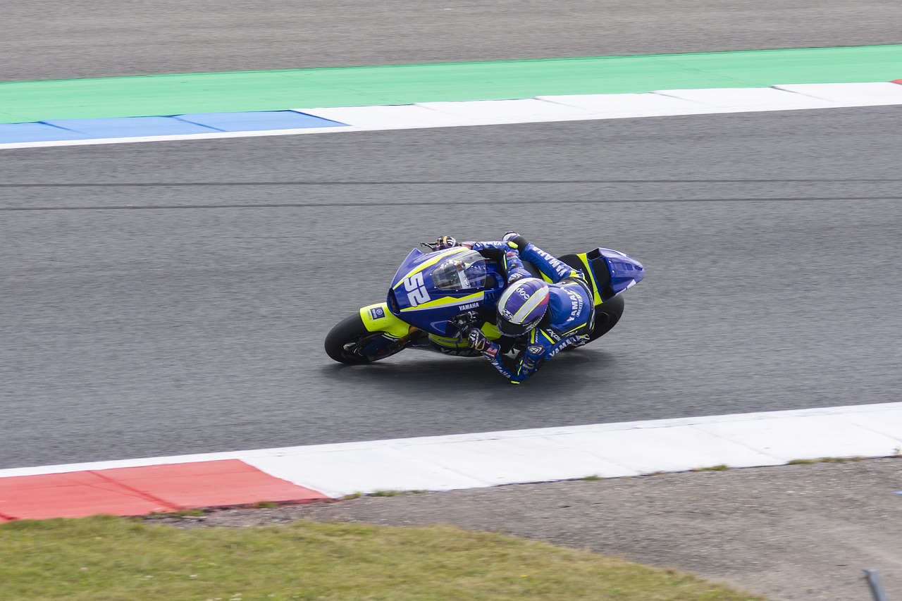 的不仅是中 的不仅是中