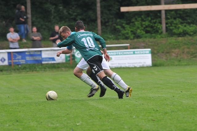 视的因素 视的因素