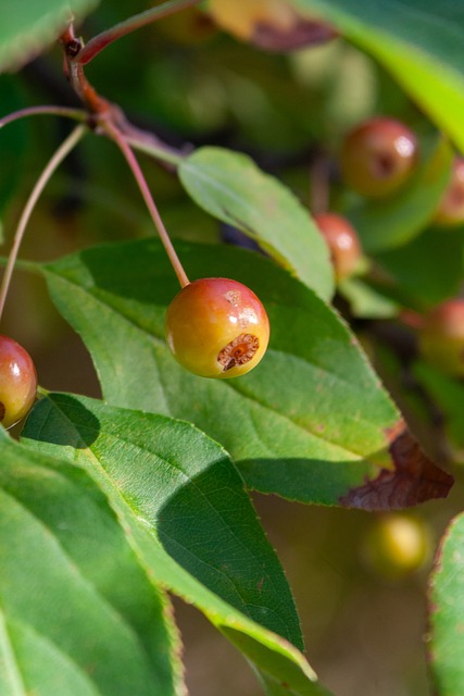 並積極推動 並積極推動